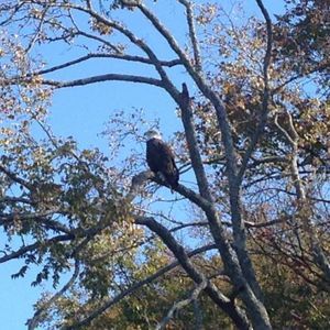 Meet your Posher, Jan